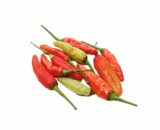 Cabai Merah Rawit