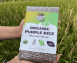 Beras Ungu (Organik)