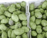 Mangga Mana Lagi Grade B