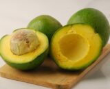 Alpukat Kendil Organik